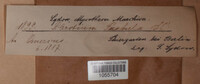 Image Associated With the Occurence